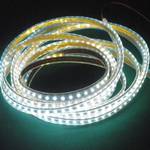 March 12V/IP65/SMD3528